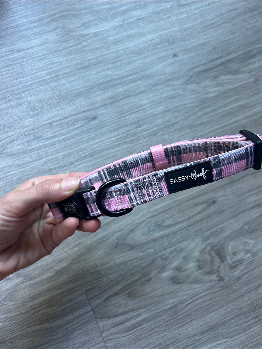 Pink Plaid Preppy Sassy Woof Dog Collar